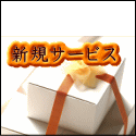 新規サービス 